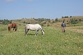 IMG_1119