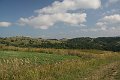 IMG_1120