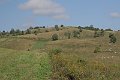 IMG_1132