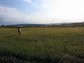 IMG_1136