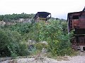 IMG_1161