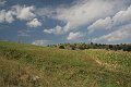IMG_1207