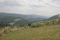 IMG_1212