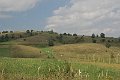 IMG_1233