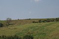 IMG_1234