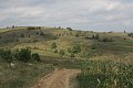 IMG_1245