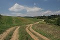 IMG_1254