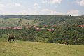 IMG_1263