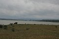 IMG_1392