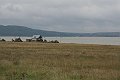 IMG_1395