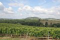 IMG_1448