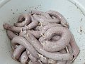 foto_kalous_1347
