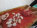 foto_kalous_1454