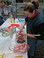 foto_kalous_1457