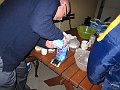 IMG_1100