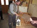 IMG_1105