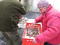 IMG_1126