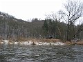 IMG_7550