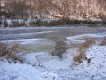 IMG_0429