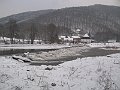 IMG_4774