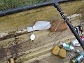 IMG_1181