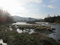 IMG_1201
